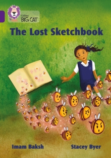 Image for The lost sketch book