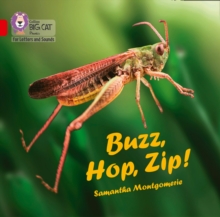 Image for Buzz, Hop, Zip! Big Book
