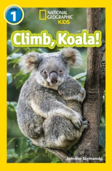 Image for Climb, Koala!