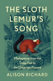 Image for The sloth lemur's song