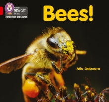 Image for Bees!