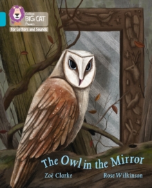 Image for The Owl in the Mirror : Band 07/Turquoise