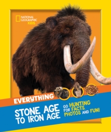 Image for Everything: Stone Age to Iron Age