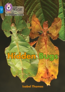 Image for Hidden Bugs