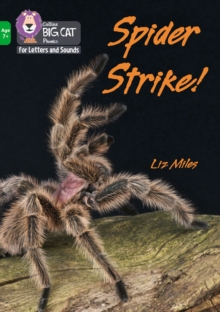 Image for Spider Strike!