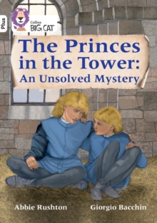 Image for The princes in the tower  : an unsolved mystery