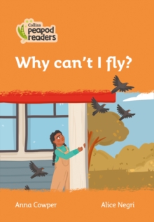 Image for Level 4 - Why can't I fly?