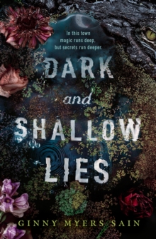 Image for Dark and Shallow Lies