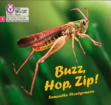 Image for Buzz, Hop, Zip!