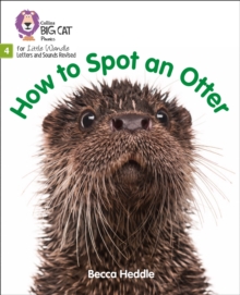 Image for How to Spot an Otter