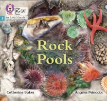 Rock Pools: Phase 3 Set 1