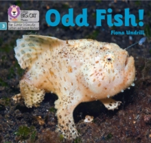 Image for Odd fish!