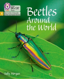 Image for Beetles around the world