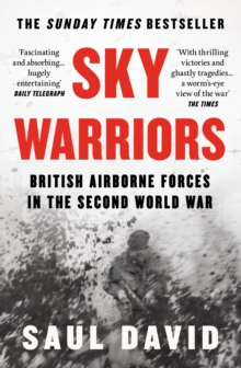 Image for Sky Warriors