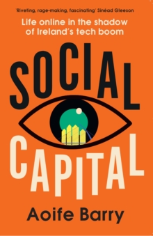 Image for Social capital  : life online in the shadow of Ireland's tech boom
