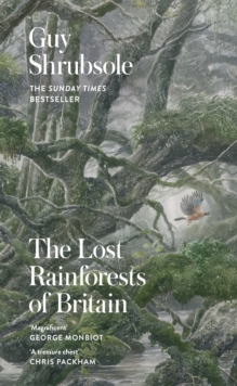 Image for The lost rainforests of Britain