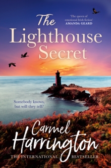 Image for The lighthouse secret