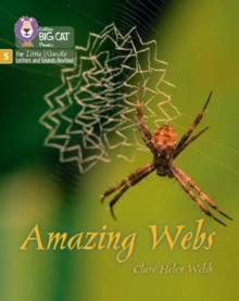 Image for Amazing Webs