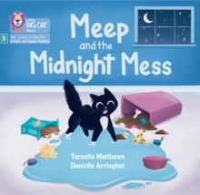 Image for Meep and the Midnight Mess