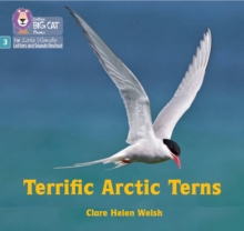 Image for Terrific Arctic Terns