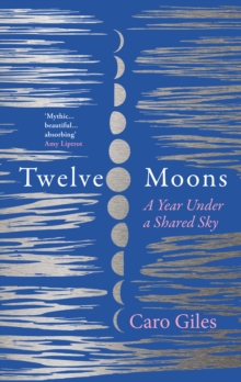 Image for Twelve moons  : finding strength on the edge of nowhere
