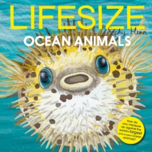 Image for Lifesize Ocean Animals