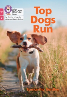 Image for Top Dogs Run