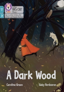 Image for A Dark Wood