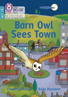 Image for Barn Owl Sees Town : Phase 3 Set 1 Blending Practice