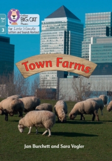 Image for Town Farms