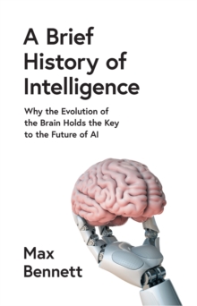 Image for Grey matters  : a brief history of brains