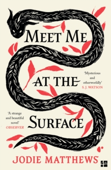 Image for Meet Me at the Surface