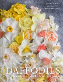 Image for Daffodils
