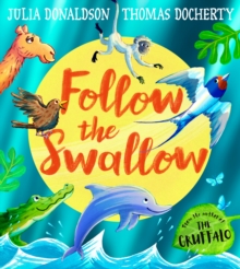Image for Follow the Swallow