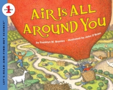 Image for Air Is All Around You