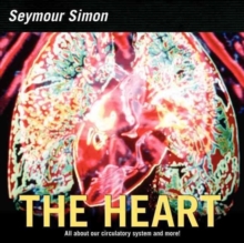 Image for The heart  : all about our circulatory system and more!
