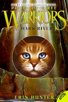 Image for Warriors : Power of Three #2: Dark River