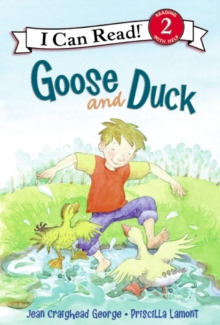 Image for Goose and Duck