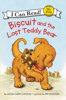 Image for Biscuit and the Lost Teddy Bear
