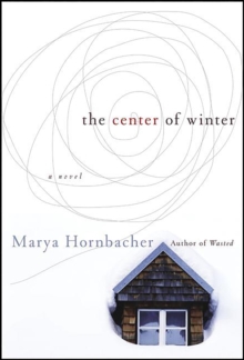 Image for The Center of Winter: A Novel.