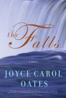 Image for The falls: a novel