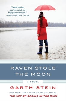Image for Raven Stole the Moon : A Novel