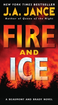 Image for Fire and ice: a Beaumont and Brady novel