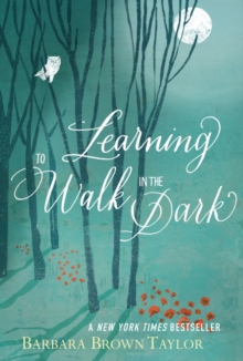 Image for Learning to Walk in the Dark