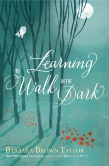 Image for Learning to walk in the dark