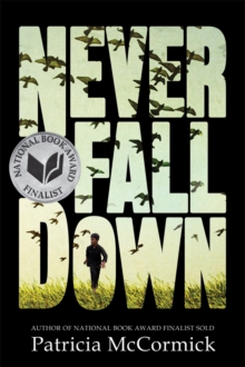 Image for Never fall down: a novel