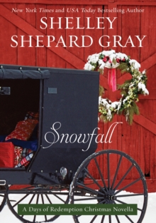 Image for Snowfall: a days of redemption Christmas novella