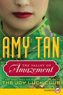 Image for The Valley of Amazement