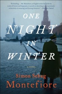 Image for One night in winter: a novel