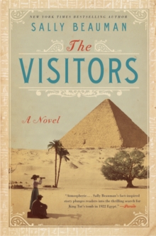 Image for The Visitors : A Novel